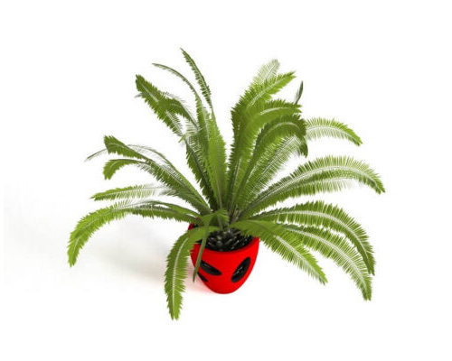 Vase Palm
