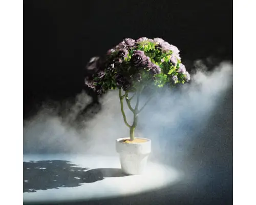 Plant 02