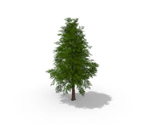 Tree 02